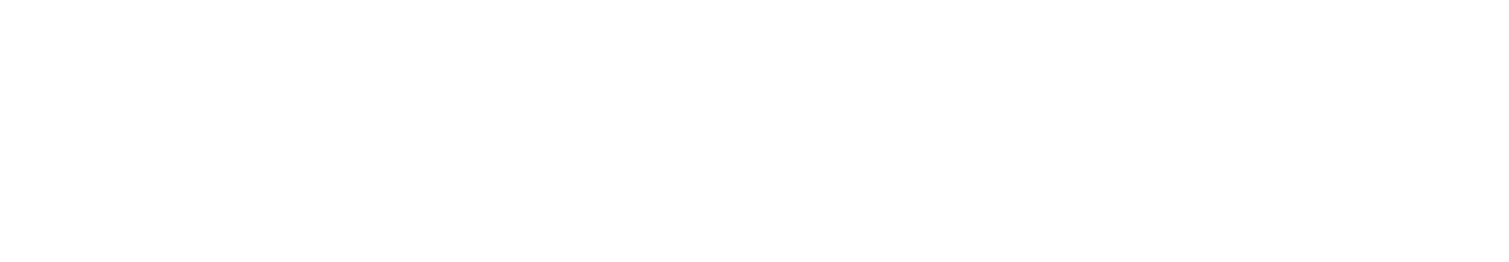BORA 調査事務所